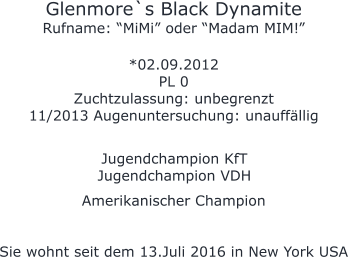 Glenmore`s Black Dynamite Rufname: “MiMi” oder “Madam MIM!”  *02.09.2012 PL 0 Zuchtzulassung: unbegrenzt 11/2013 Augenuntersuchung: unauffällig     Amerikanischer Champion   Sie wohnt seit dem 13.Juli 2016 in New York USA    Jugendchampion KfT Jugendchampion VDH