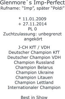 Glenmore`s Imp-Perfect Rufname: “Imp”, später “Poldi”  * 11.01.2009 + 27.11.2014 PL 0 Zuchtzulassung: unbegrenzt  angekört   J-CH KfT / VDH Deutscher Champion KfT  Deutscher Champion VDH  Champion Russland Champion Belarus   Champion Ukraine Champion Litauen Champion Lettland Internationaler Champion  Best in Show