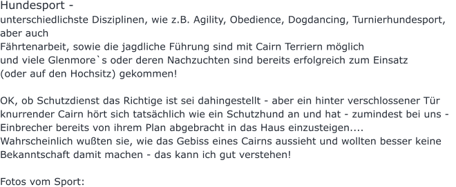 Hundesport - unterschiedlichste Disziplinen, wie z.B. Agility, Obedience, Dogdancing, Turnierhundesport,  aber auch  Fährtenarbeit, sowie die jagdliche Führung sind mit Cairn Terriern möglich  und viele Glenmore`s oder deren Nachzuchten sind bereits erfolgreich zum Einsatz  (oder auf den Hochsitz) gekommen!  OK, ob Schutzdienst das Richtige ist sei dahingestellt - aber ein hinter verschlossener Tür knurrender Cairn hört sich tatsächlich wie ein Schutzhund an und hat - zumindest bei uns -   Einbrecher bereits von ihrem Plan abgebracht in das Haus einzusteigen.... Wahrscheinlich wußten sie, wie das Gebiss eines Cairns aussieht und wollten besser keine  Bekanntschaft damit machen - das kann ich gut verstehen!  Fotos vom Sport: